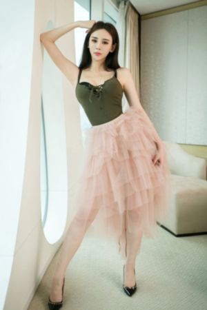 秘密女搜查官の在线观看_720天堂在线